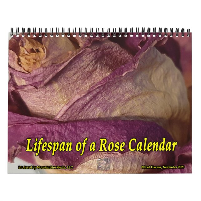 Durée de vie d'un calendrier Rose (Protection)