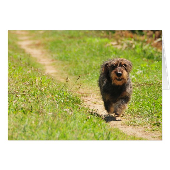 Durée du plaisir - Exécution de Dachshund (Devant horizontal)