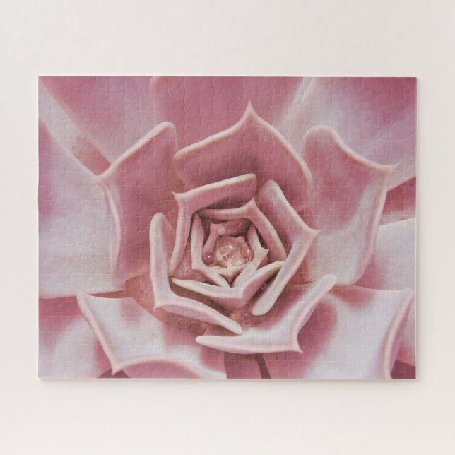 Dusty Rose rose Succulent Plante Jigsaw Puzzle Puz (Horizontal)