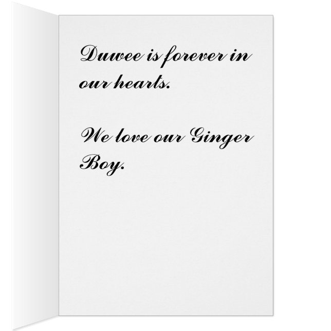 Duwee (Intérieur (Droit))