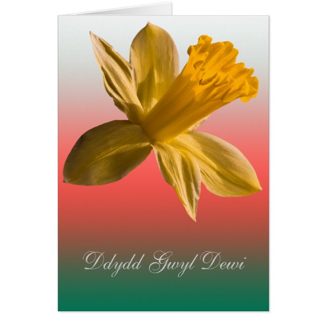 Dydd Gwyl Dewi Sant card_vertical (Devant)