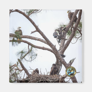 E10 et E11 + aimant pour famille