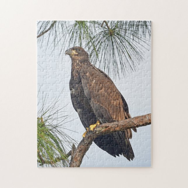 E23 SWFL Eagle Cam Puzzle (Vertical)