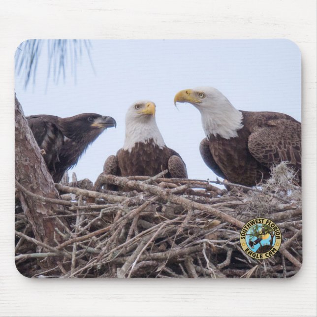 E9 et tapis de souris de famille - conception (Devant)