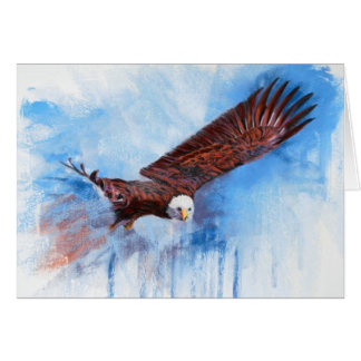 Eagle chauve