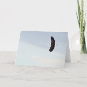 Eagle chauve pilotant la carte