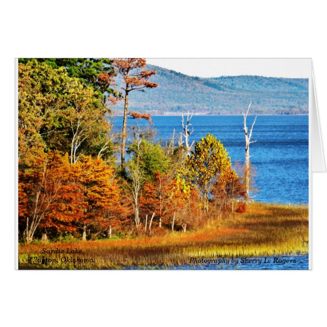 ~Eagles sur Sardis Lake~ (Devant horizontal)
