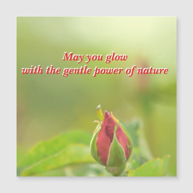 Earth’s Glow and Healing Japanese Flowers/EarthDay (Devant)