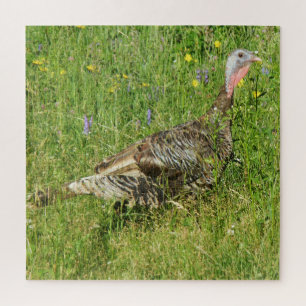 Eastern Wild Turkey Hen Puzzle