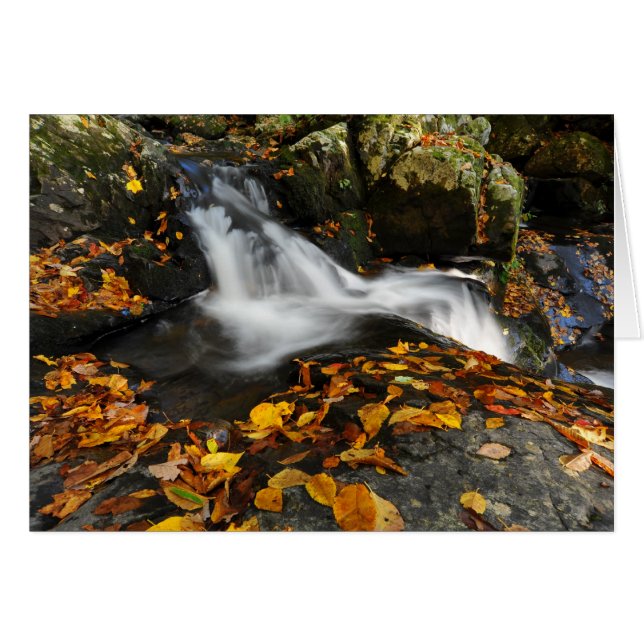 Eau apaisante (Devant horizontal)