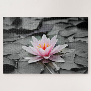 Eau Lily Plante aquatique Jigsaw Puzzle