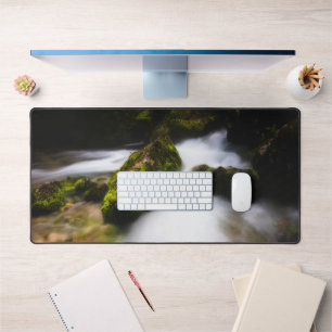 Eau qui traverse une forêt enchanteresse de mousse