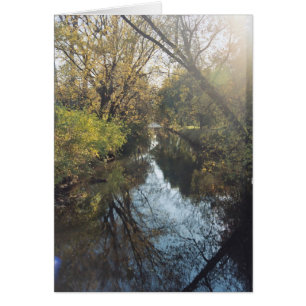 Eau Reflétant les arbres