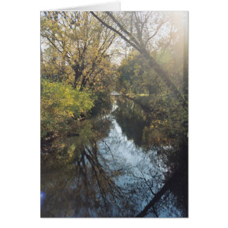 Eau Reflétant les arbres