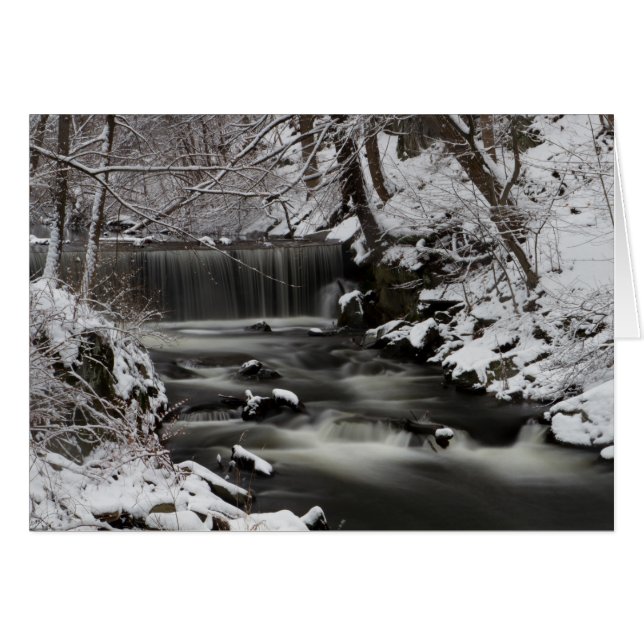 Eaux hivernales (Devant horizontal)