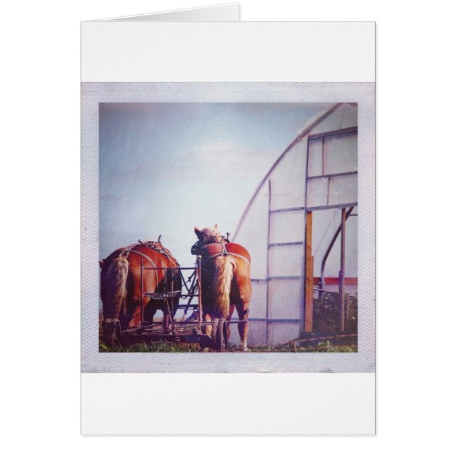 Ébauche Chevaux Prêt Pour Le Travail (Devant)