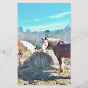 Ébauche secourue Chevaux mangeant foin