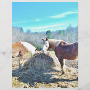 Ébauche secourue Chevaux mangeant foin