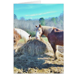 Ébauche secourue Chevaux mangeant foin
