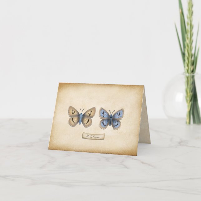 Écarce Grand Papillon Bleu Spécimen Personnalisabl (Devant)