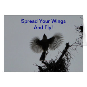 Écartez vos ailes et mouche, mésange tuftée