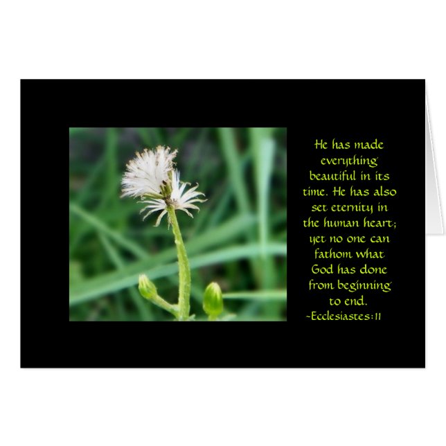 Ecclesiastes 3:11 carte de fleurs (Devant horizontal)