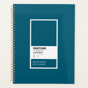 Échantillon de palette de couleurs minimaliste ble