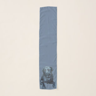 Écharpes bleues de chien de laboratoire de noir