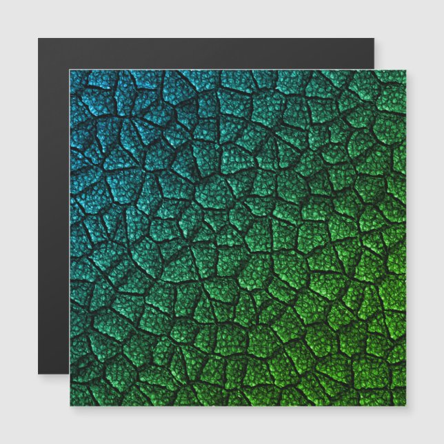 Échelle de la Dragonne Verte (Devant / Derrière)