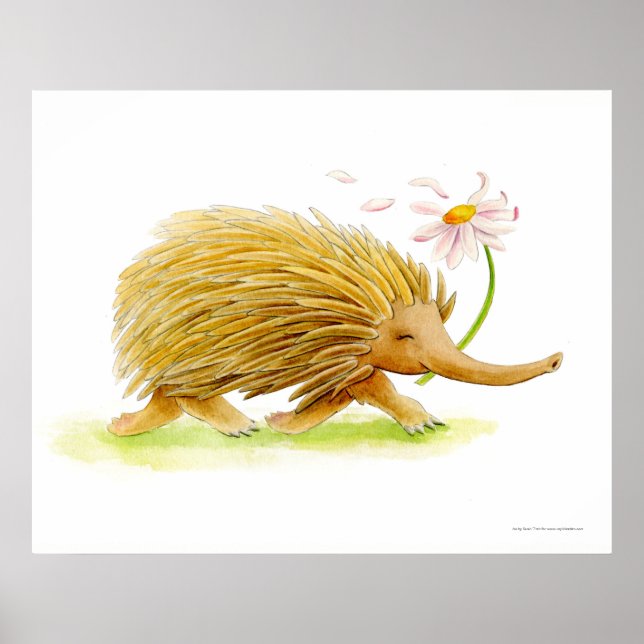 Echidna aquarelle blanc affiche d'art (Devant)