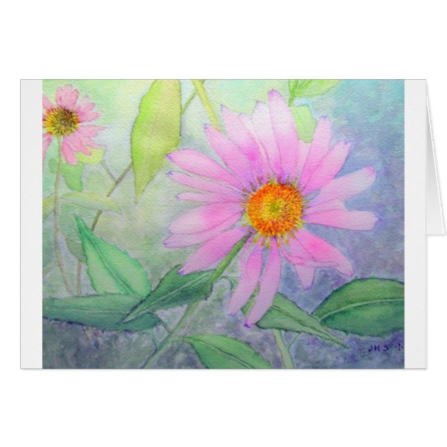 Echinacée en fleur (Devant horizontal)