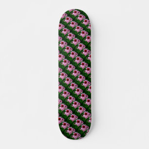 échinacée rose fleurs sur skateboard vert