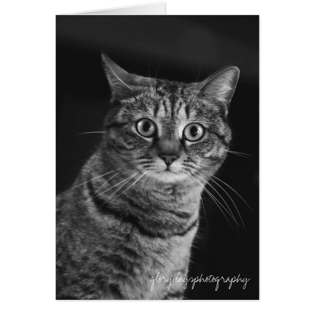 Echo, bw, D300, glorydaysphotography (Devant)