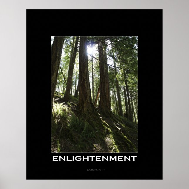 ÉCLAIRAGE Forêt Motivationnel Poster photo (Devant)