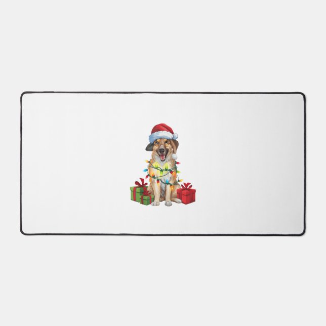 Éclairage Noël Chapeau Kangal Berger Chien Christ (Recto)