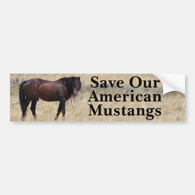 Économisez Notre Sticker Mustangs Bumper (Devant)