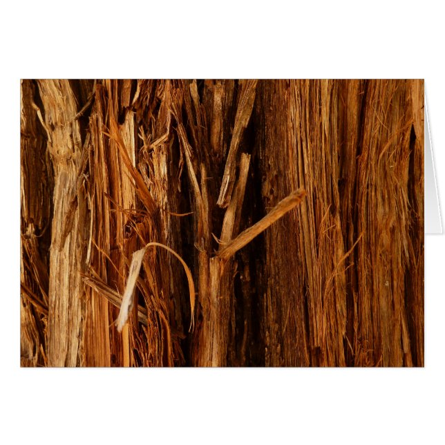 Écorce de bois texturée de cèdre (Devant Horizontal)
