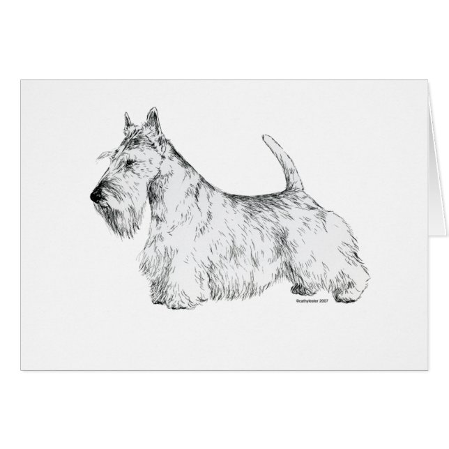 Écossais Terrier (Devant horizontal)