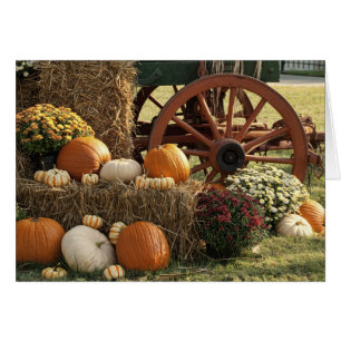 Écran Citrouille Automne Et Mère