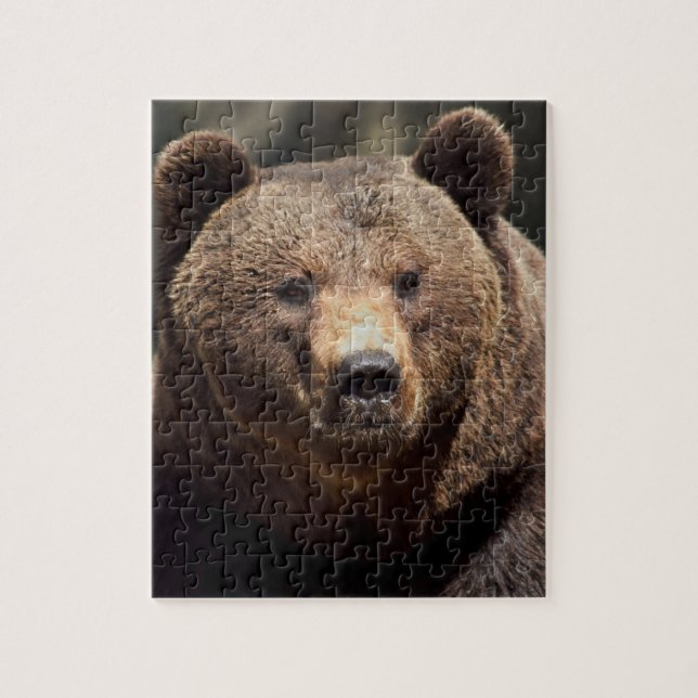 ÉCRAN GRIZLY BEAR 8X10 JIGSAW Puzzle (Vertical)
