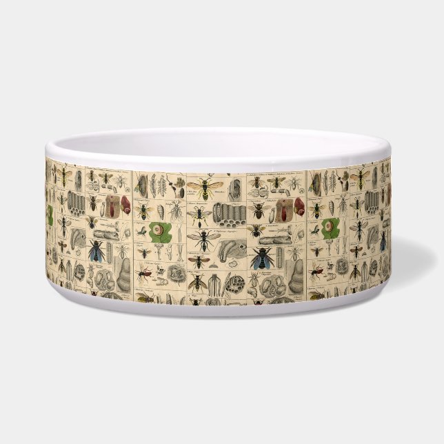 Écuelle Abeille Insecte Bug Wasp Nature Peinture des abeil (Devant)