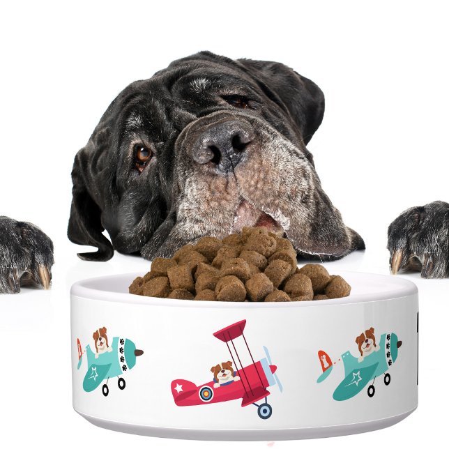 Écuelle Aéronefs amusants Chien drôle Drôle Animal fourrur (Créateur téléchargé)