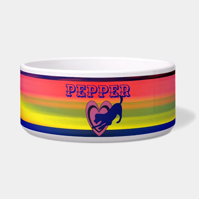 Écuelle Amusants pour animaux - Anneau de couleur - Abstra (Devant)