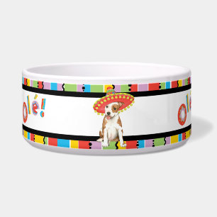 Écuelle Animaux domestiques Fiesta Am