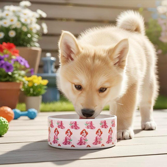 Écuelle Ariel (Créateur téléchargé)