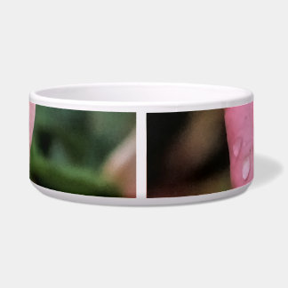 Écuelle Art botanique romantique Rose Imprimer