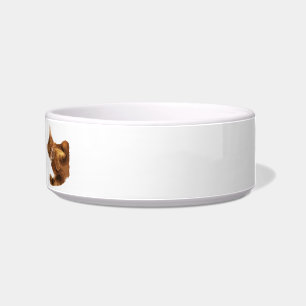 Écuelle Aucun Declaw le bol d'aliments pour chats de Kitty