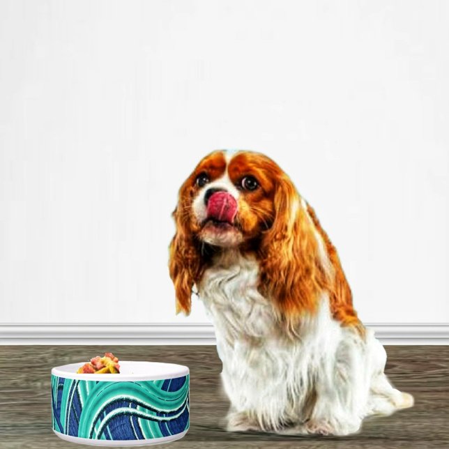 Écuelle Autoroutes (A lovely bowl for your favorite pet to feed from!)