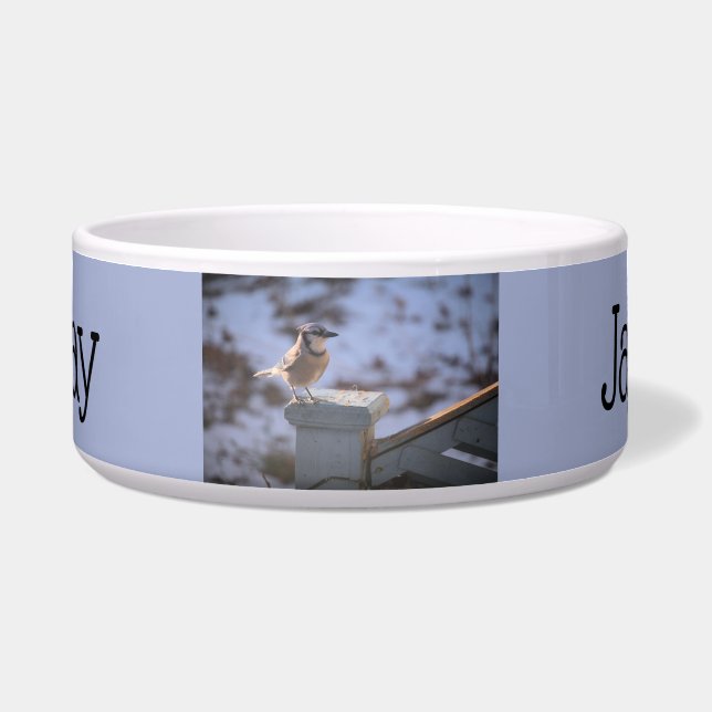 Écuelle Blue Jay (Devant)