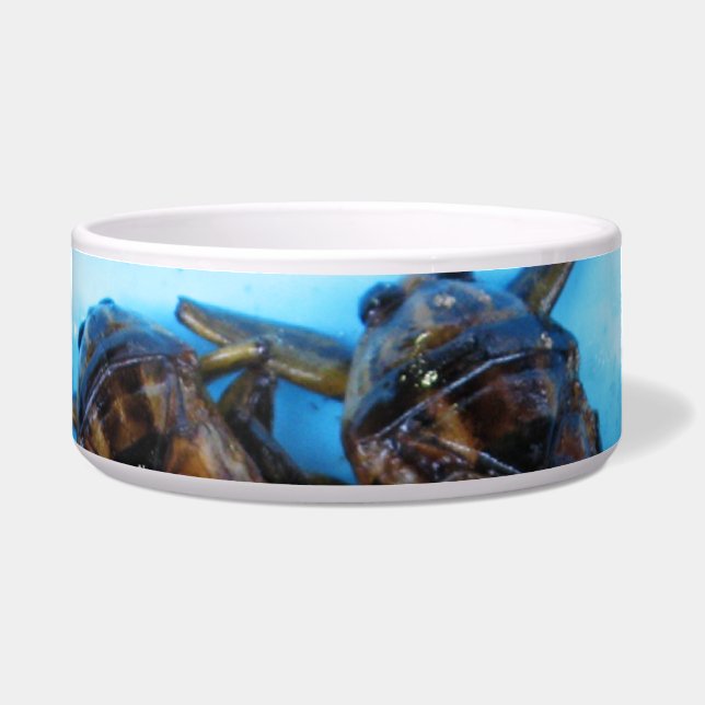 Écuelle Bogue d'eau géante frite (Maeng Daa) ... Alimentat (Devant)